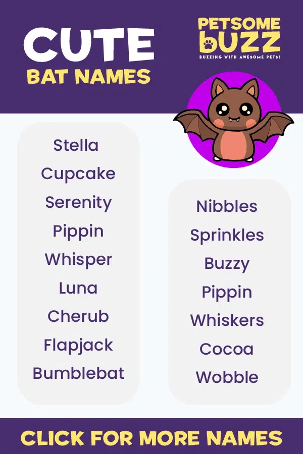 Bat Names - Pet Names - Nameberry