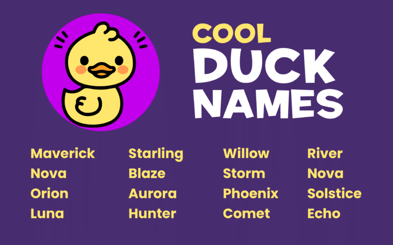 1500+ Funny And Cute Duck Names With Name Generator