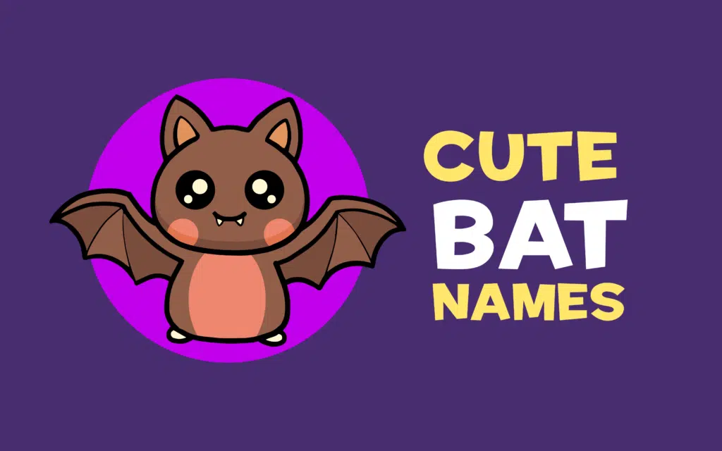 1500+ Bat Names | Cute & Funny Names Guide — 2024