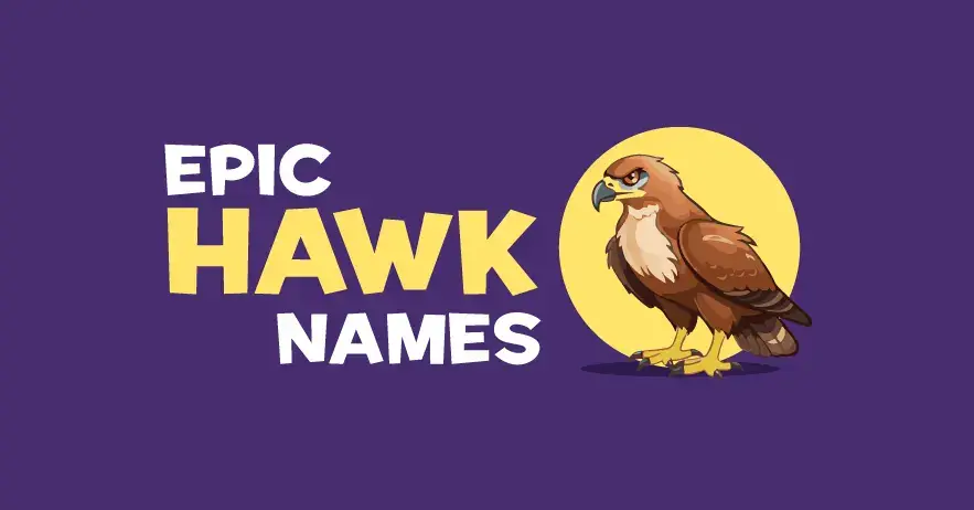 Good Hawk Names.