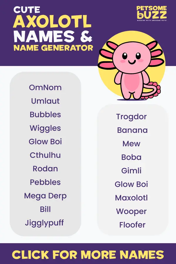 Cute Axolotl Names