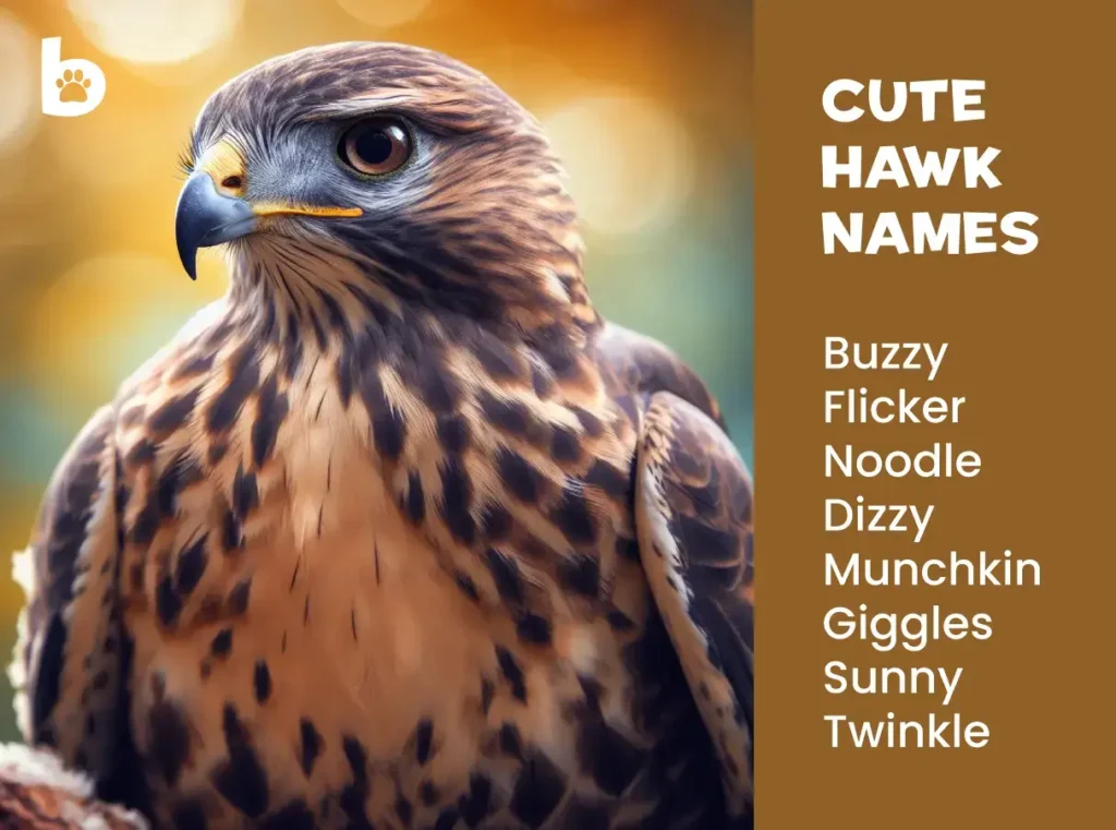 Cute Names for Hawks