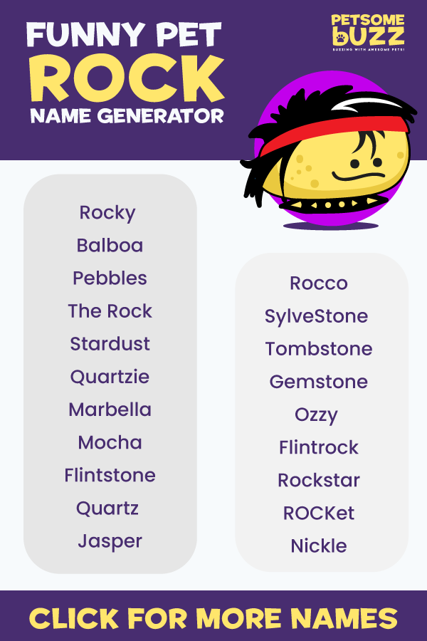 Funny-Pet-Rock-Name-list
