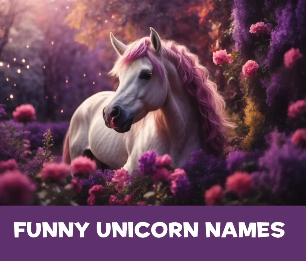 Funny Unicorn Names 