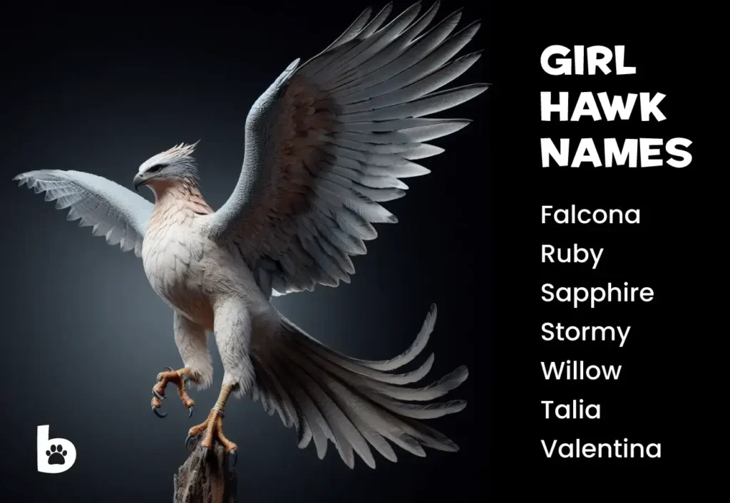 Girl Hawk Names