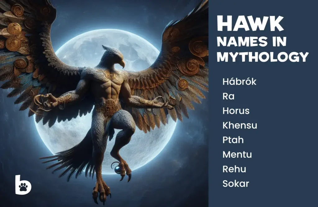 Hawk Names in Mythology
