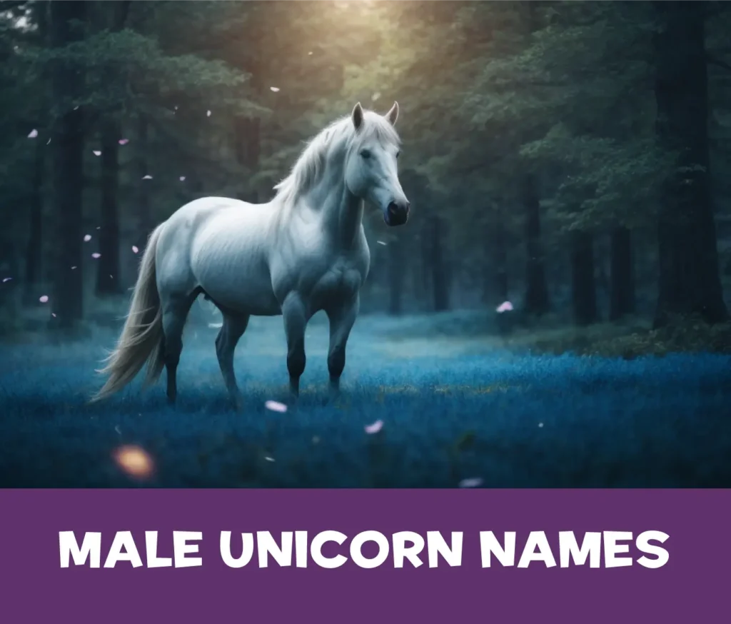 Male unicorn names 