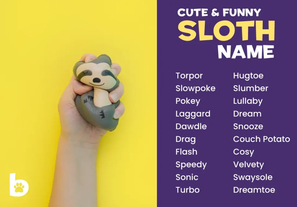 Cute-and-funny-Sloth-Names