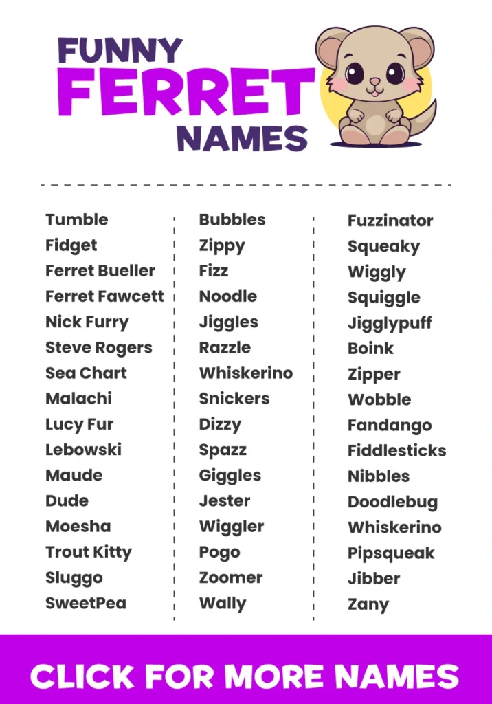 Funny Ferret Names