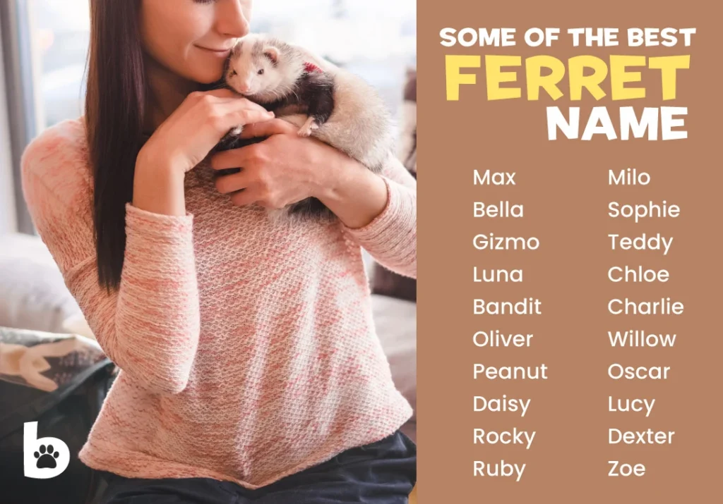 How to select the best name for my ferret?
