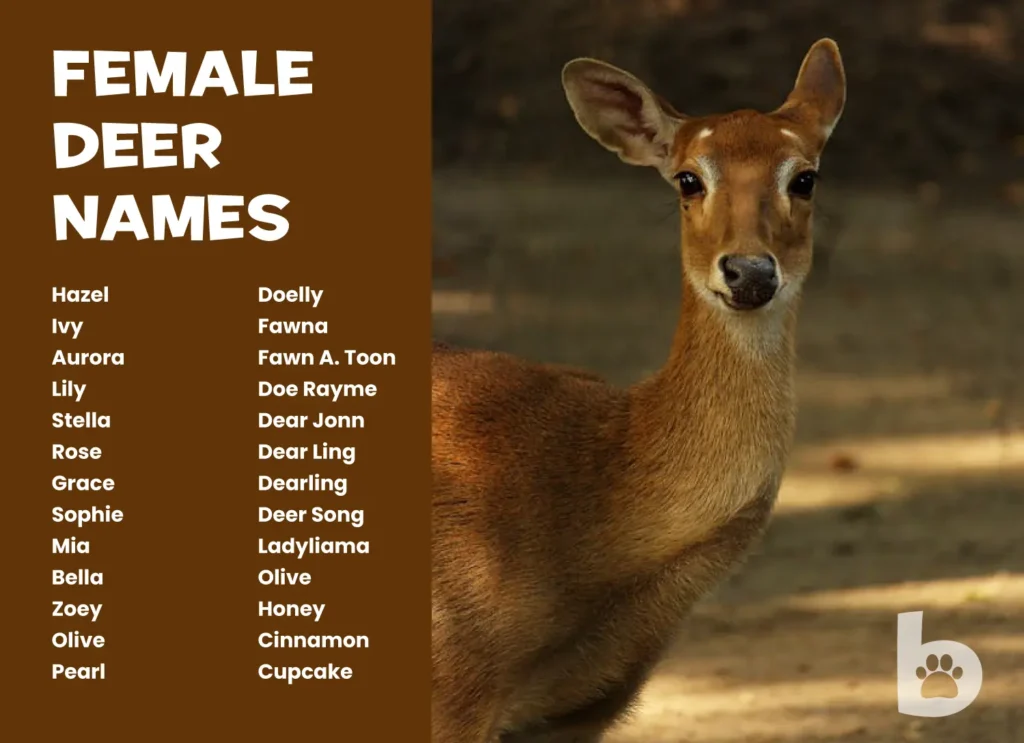 Female-Deer-Names